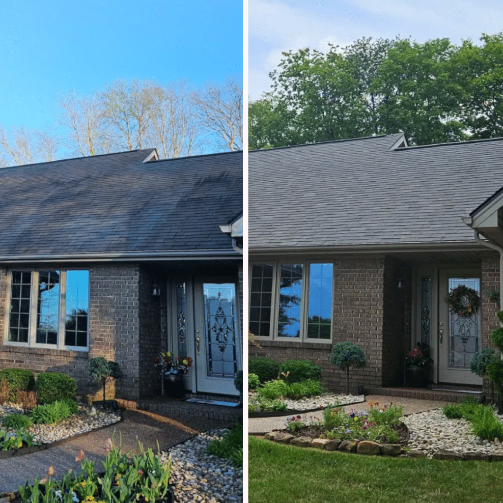 klean asphalt roof cleaning